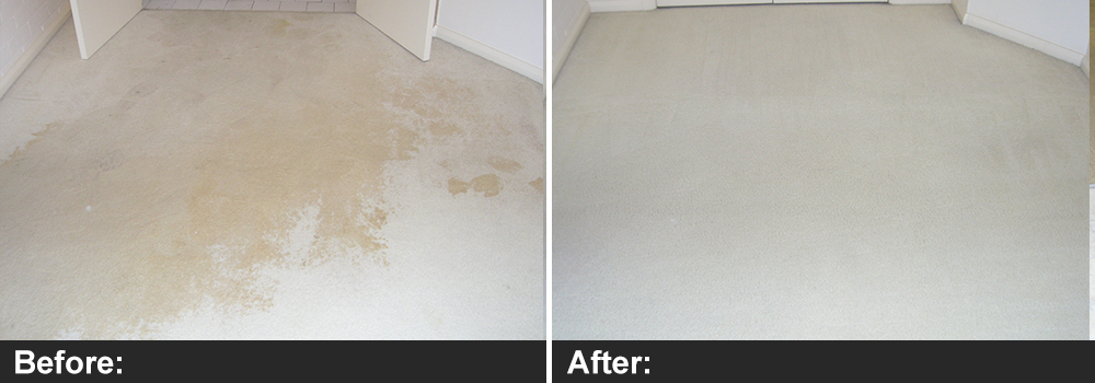 Water damage restoration โ before and after